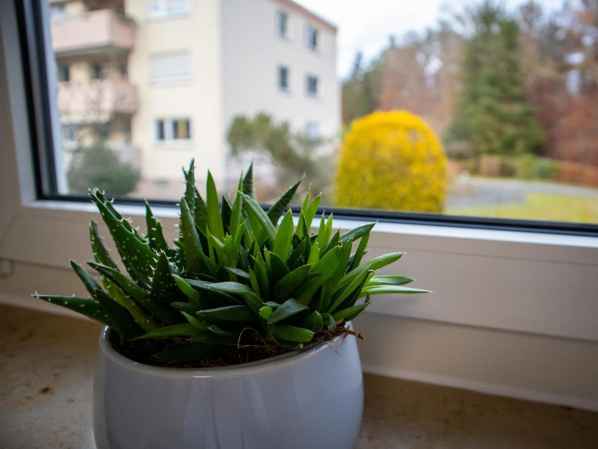Seewaldblick - Ferienwohnung Am Bodensee Фрідріхсгафен Екстер'єр фото